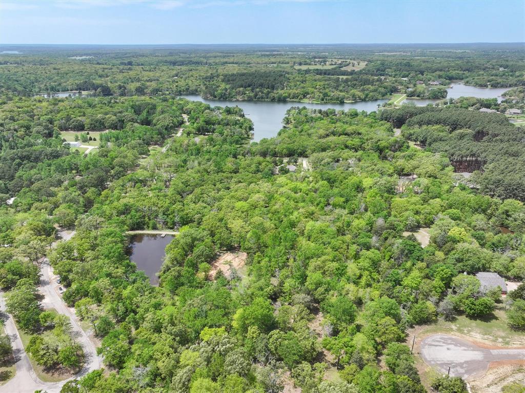 8950 Timber Ridge Larue, TX 75770 - Photo 2 of 12 a view of a lush green field