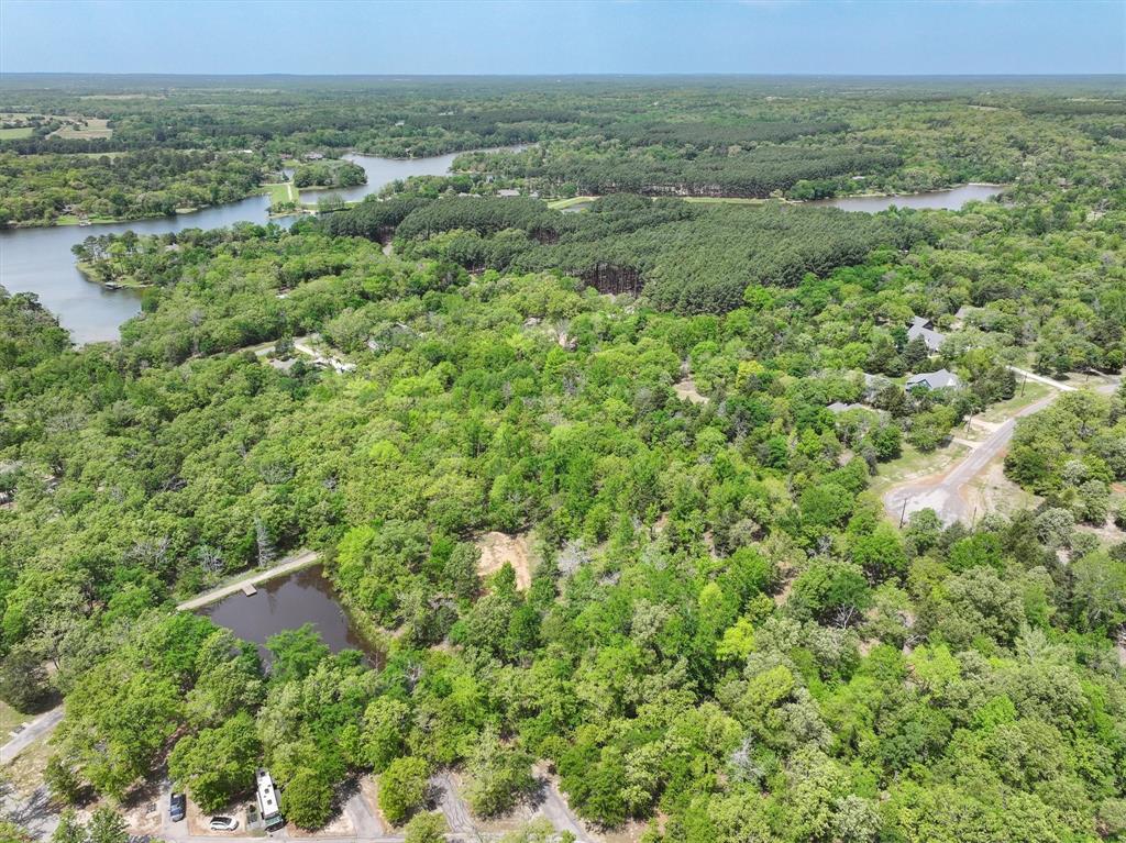 8950 Timber Ridge Larue, TX 75770 - Photo 3 of 12 a view of a field of grass and trees