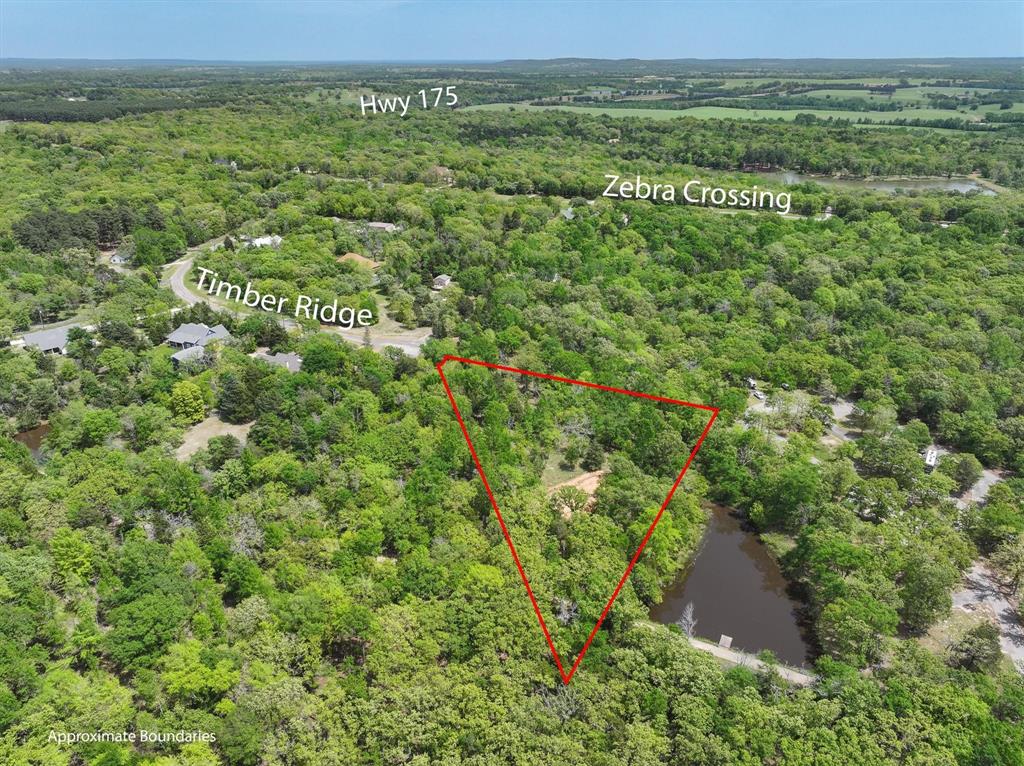 8950 Timber Ridge Larue, TX 75770 - Photo 5 of 12 a view of a field with an trees