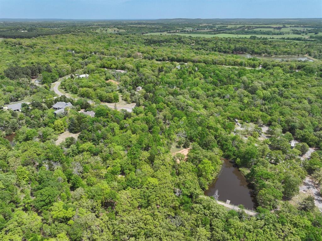 8950 Timber Ridge Larue, TX 75770 - Photo 7 of 12 an aerial view of residential houses with outdoor space and trees