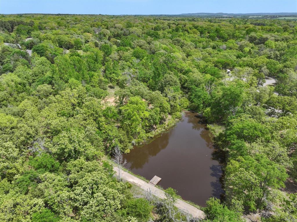 8950 Timber Ridge Larue, TX 75770 - Photo 8 of 12 a view of a garden