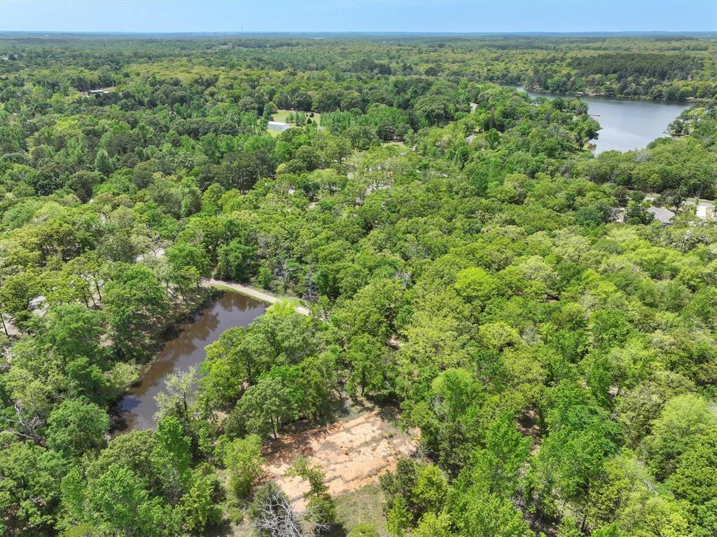 8950 Timber Ridge Larue, TX 75770 - Photo 9 of 12 a view of a forest with a street