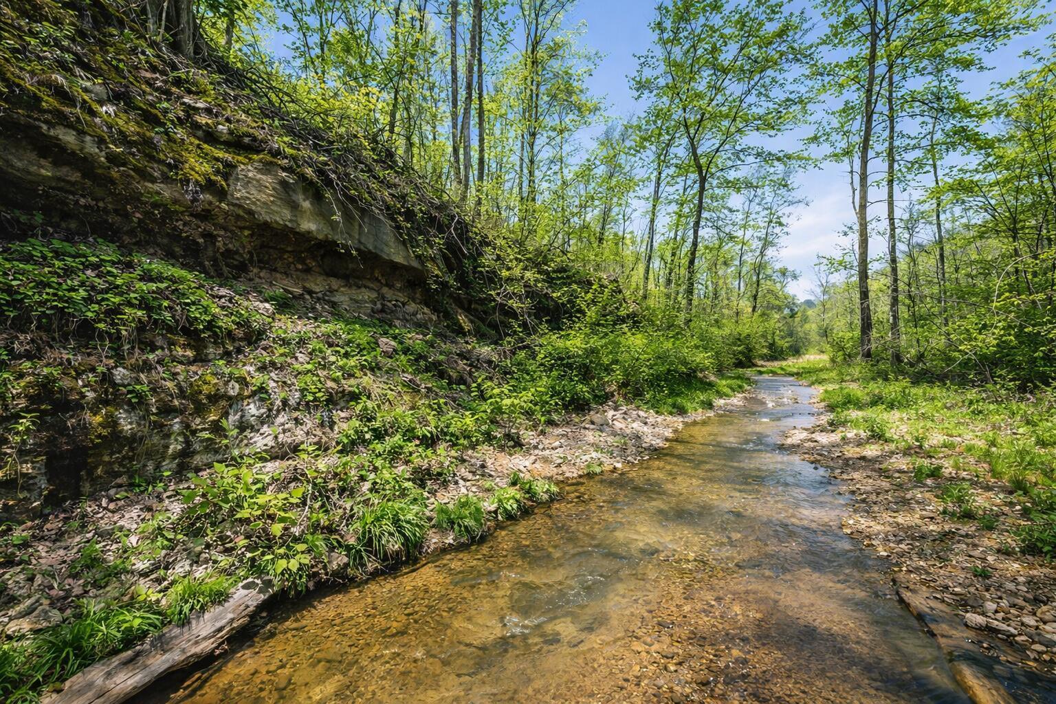0 State Rt 13 Street Southeast Corning, OH 43730 - Photo 2 of 24 Same creek Ai generated at spring