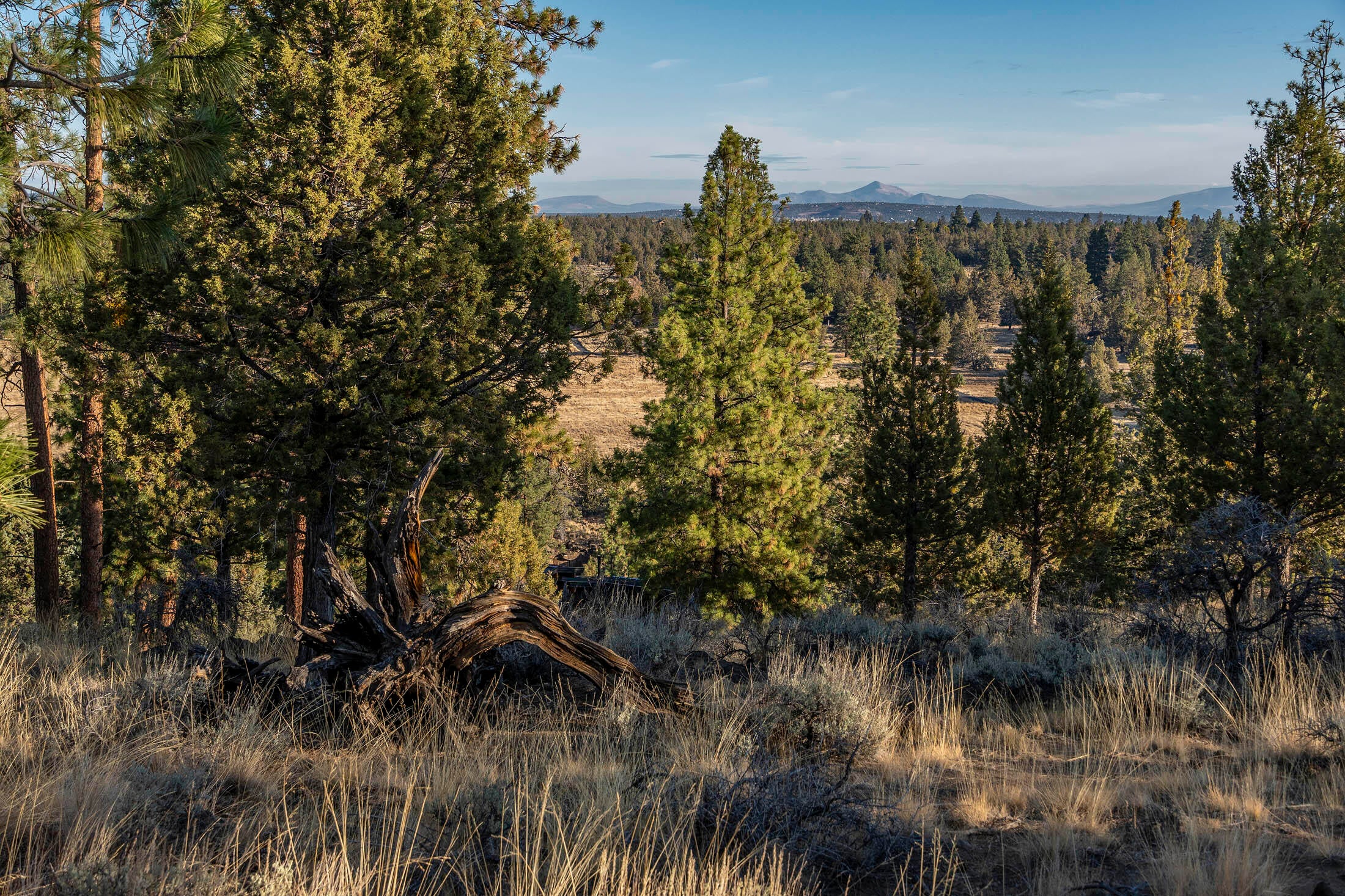 1614 Northwest Wild Rye Circle Bend, OR 97703 - Photo 22 of 30 1614 NW Wild Rye 016 copy