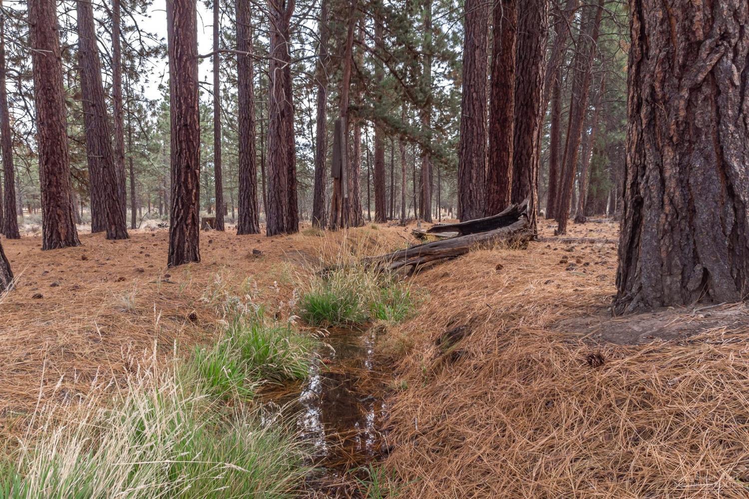 0 Peterson Ridge Road Bend, OR 97703 - Photo 11 of 17 Additional Photo
