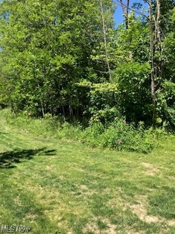 Vl Lunn Road Strongsville, OH 44149 - Photo 1 of 4 View of undeveloped land