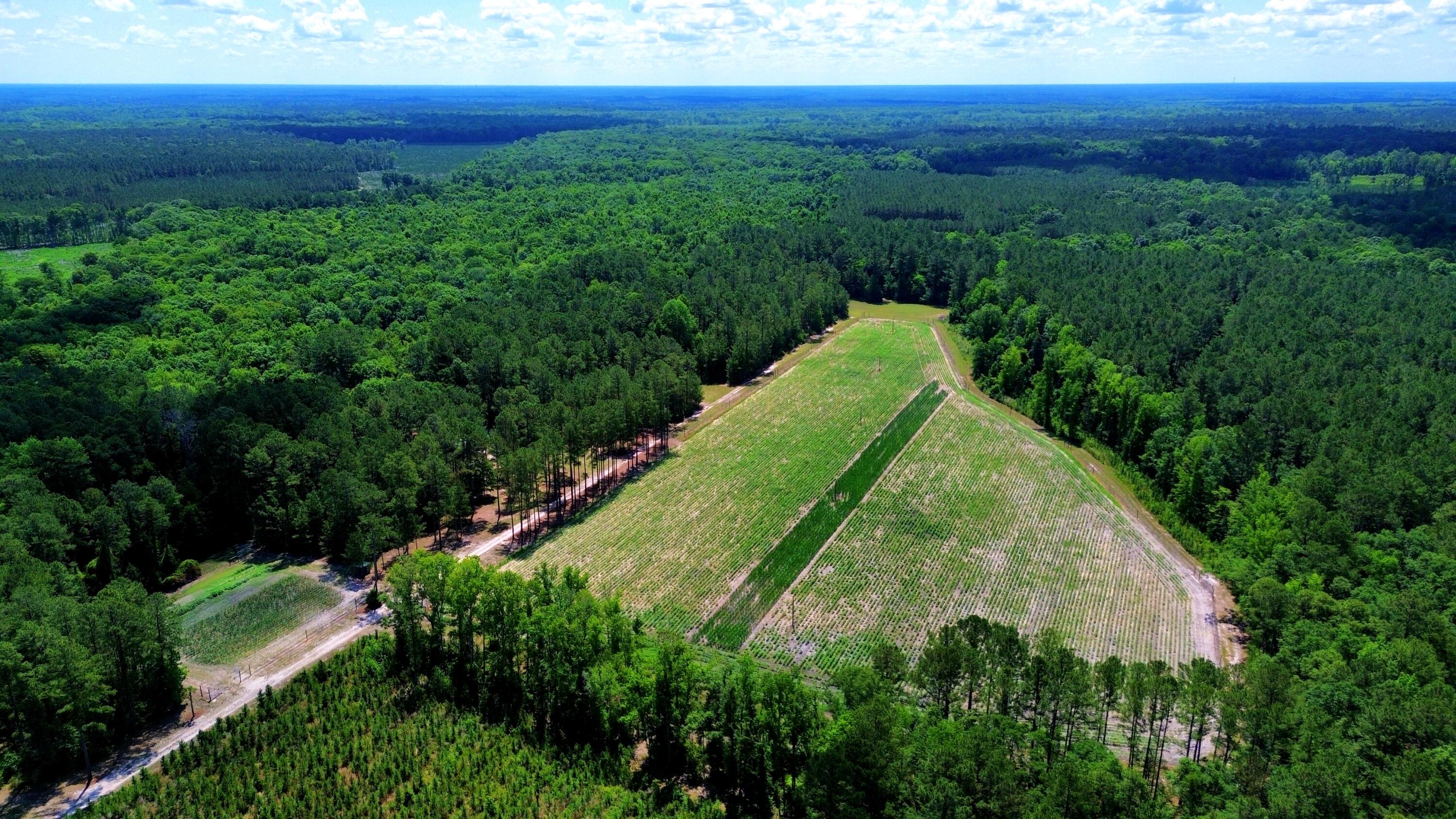 1970 Cross Swamp Road Islandton, SC 29929 - Photo 50 of 150