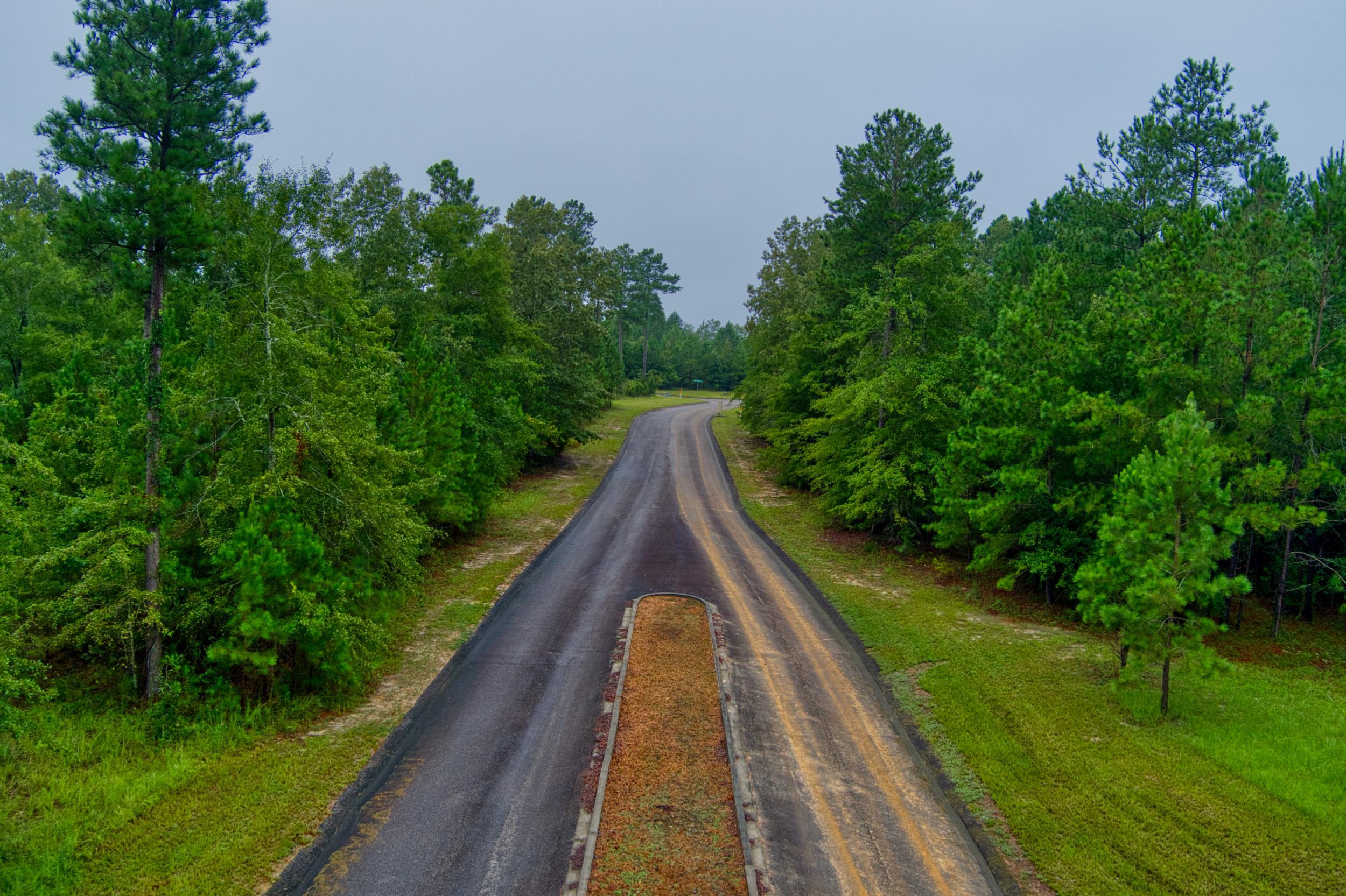 Lot 5 Cooks Pond Road Windsor, SC 29856 - Photo 8 of 23