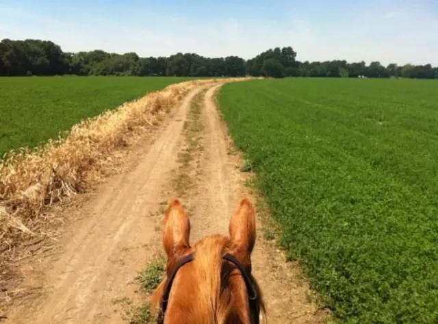 a stove top oven sitting inside of a kitchen