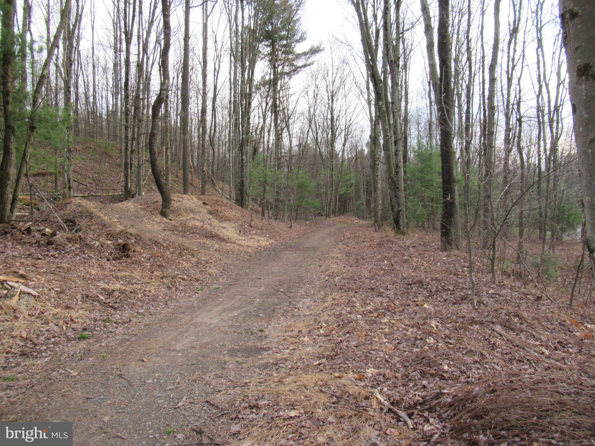 852 Spruce Road Clarence, PA 16829 - Photo 5 of 6