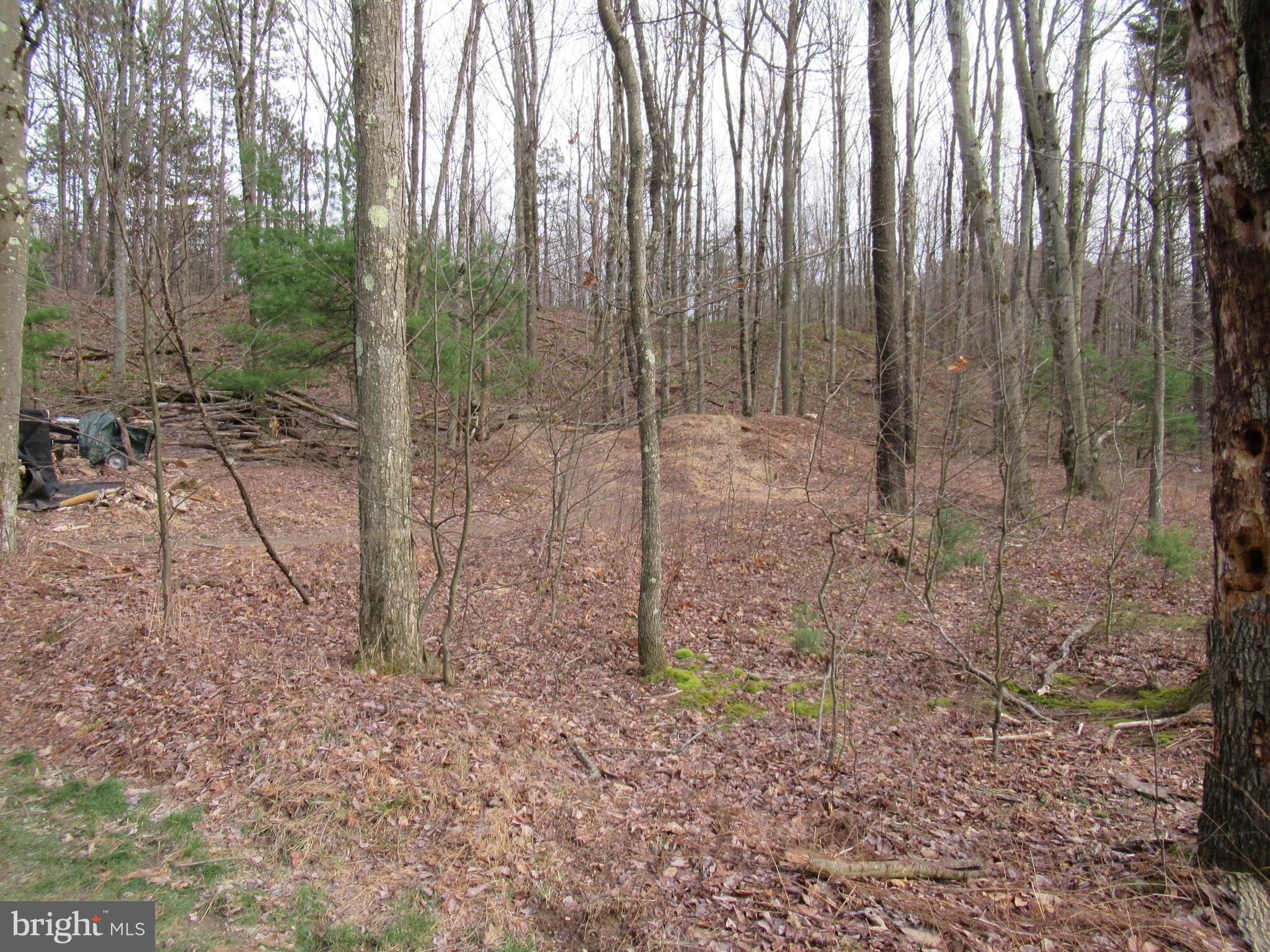 852 Spruce Road Clarence, PA 16829 - Photo 6 of 6