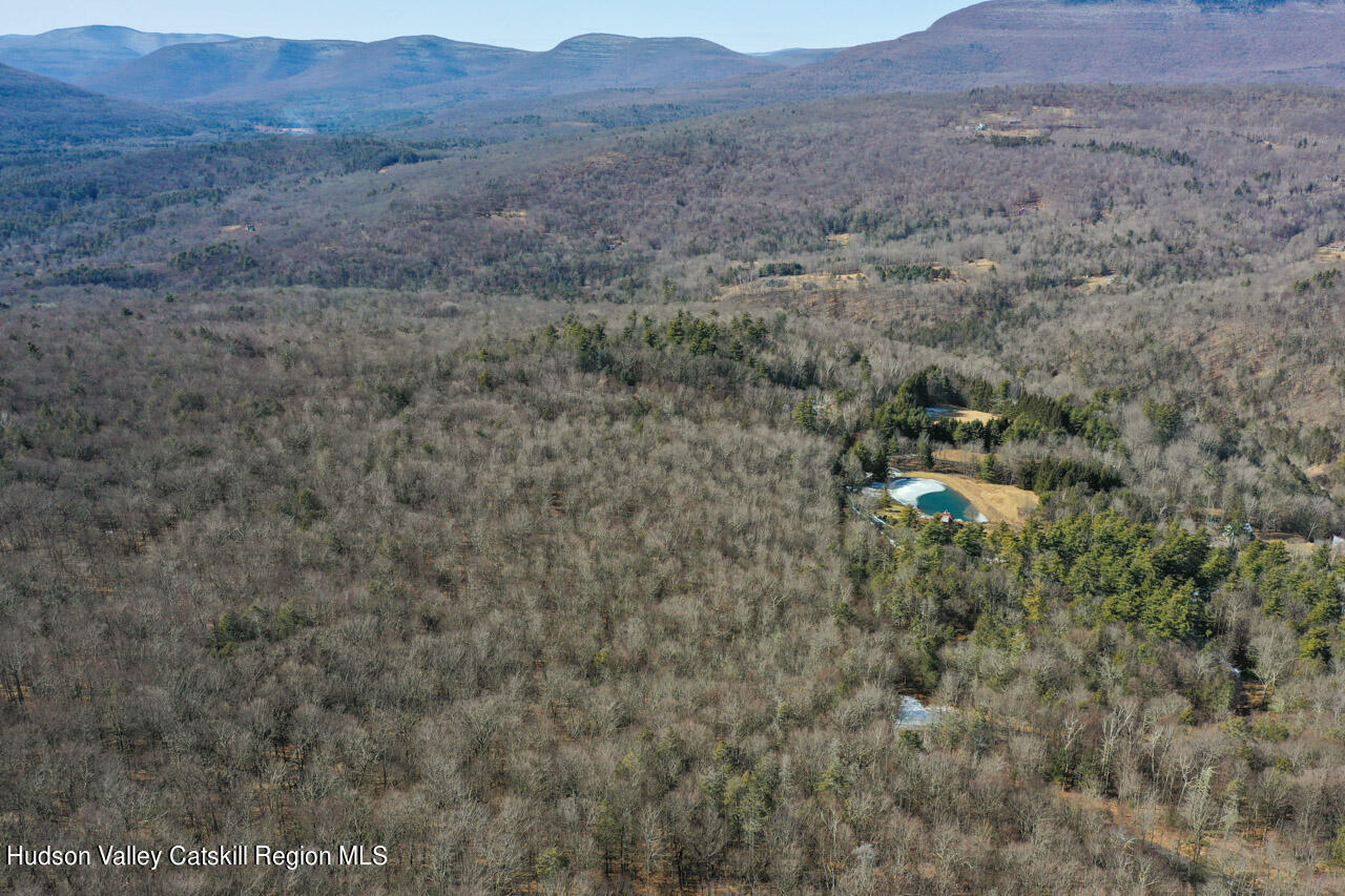256 Macdaniel Road Woodstock, NY 12498 - Photo 4 of 7 a view of a dry field