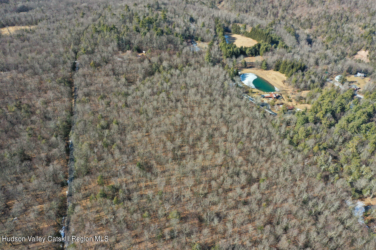 256 Macdaniel Road Woodstock, NY 12498 - Photo 7 of 7 a aerial view of a house with a yard