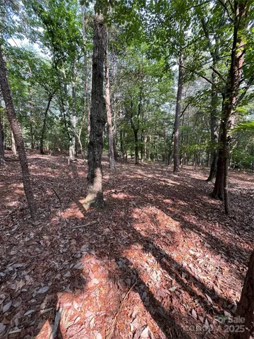 a view of outdoor space with trees