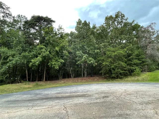 a view of a tennis ground with large trees