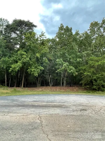 a view of a tennis ground with trees in the background