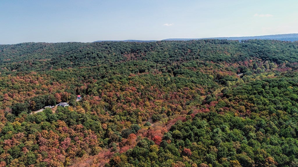 1672 Chess Club Road James Creek, PA 16657 - Photo 71 of 73 Gallery Image 71