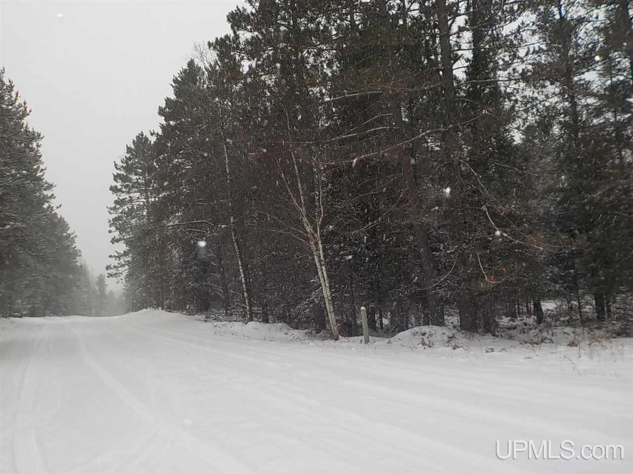 7 Ac /- Rock Crusher Road Crystal Falls, MI 49920 - Photo 4 of 10
