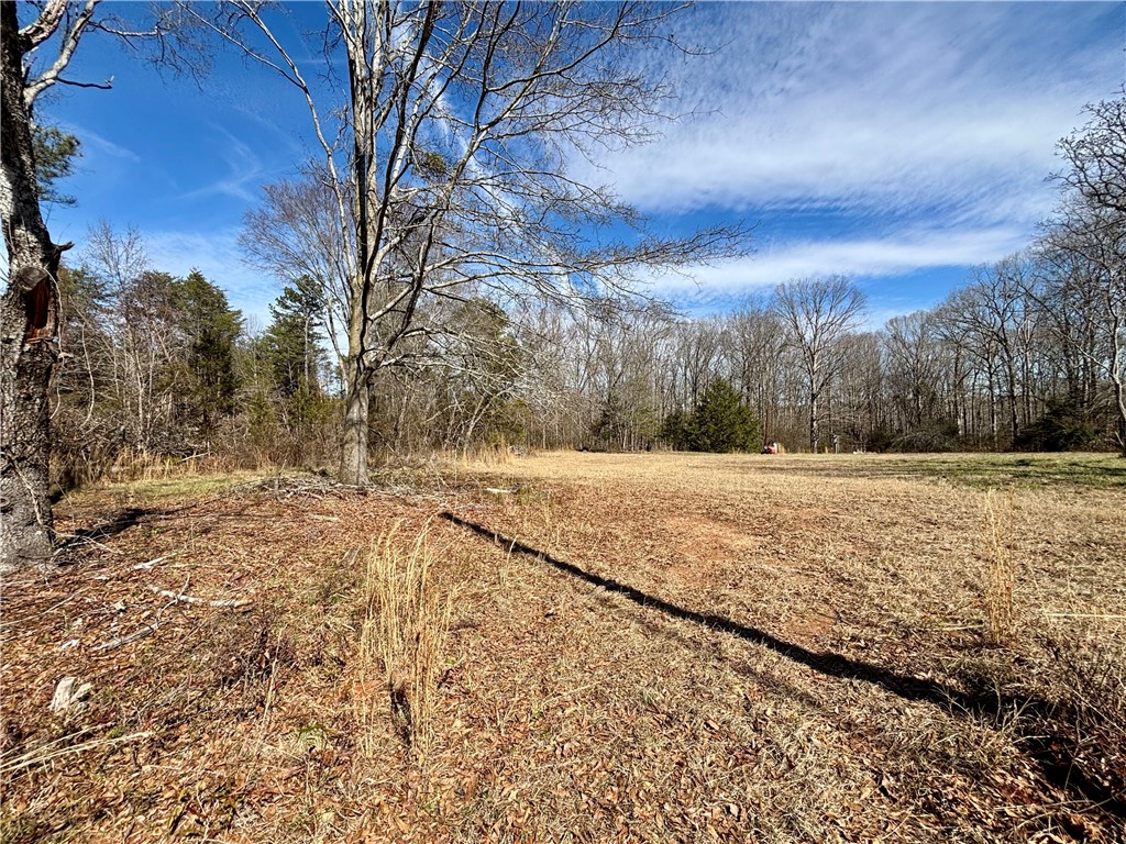 902 Latimer Road Anderson, SC 29626 - Photo 3 of 4