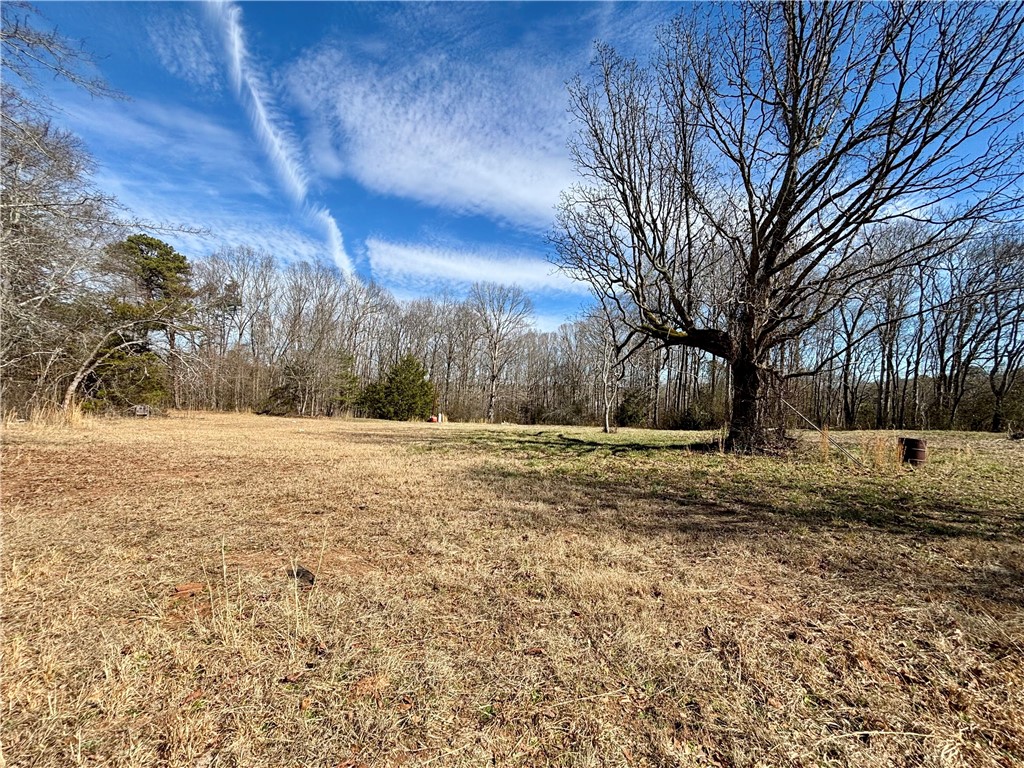 902 Latimer Road Anderson, SC 29626 - Photo 4 of 4 Expansive green space offers abundant natural beauty and serene views.