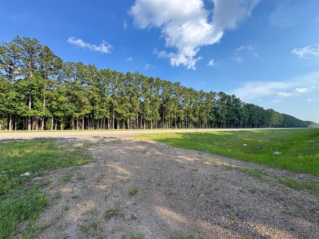 0 Highway 165 Kinder, LA 70648 - Photo 4 of 11