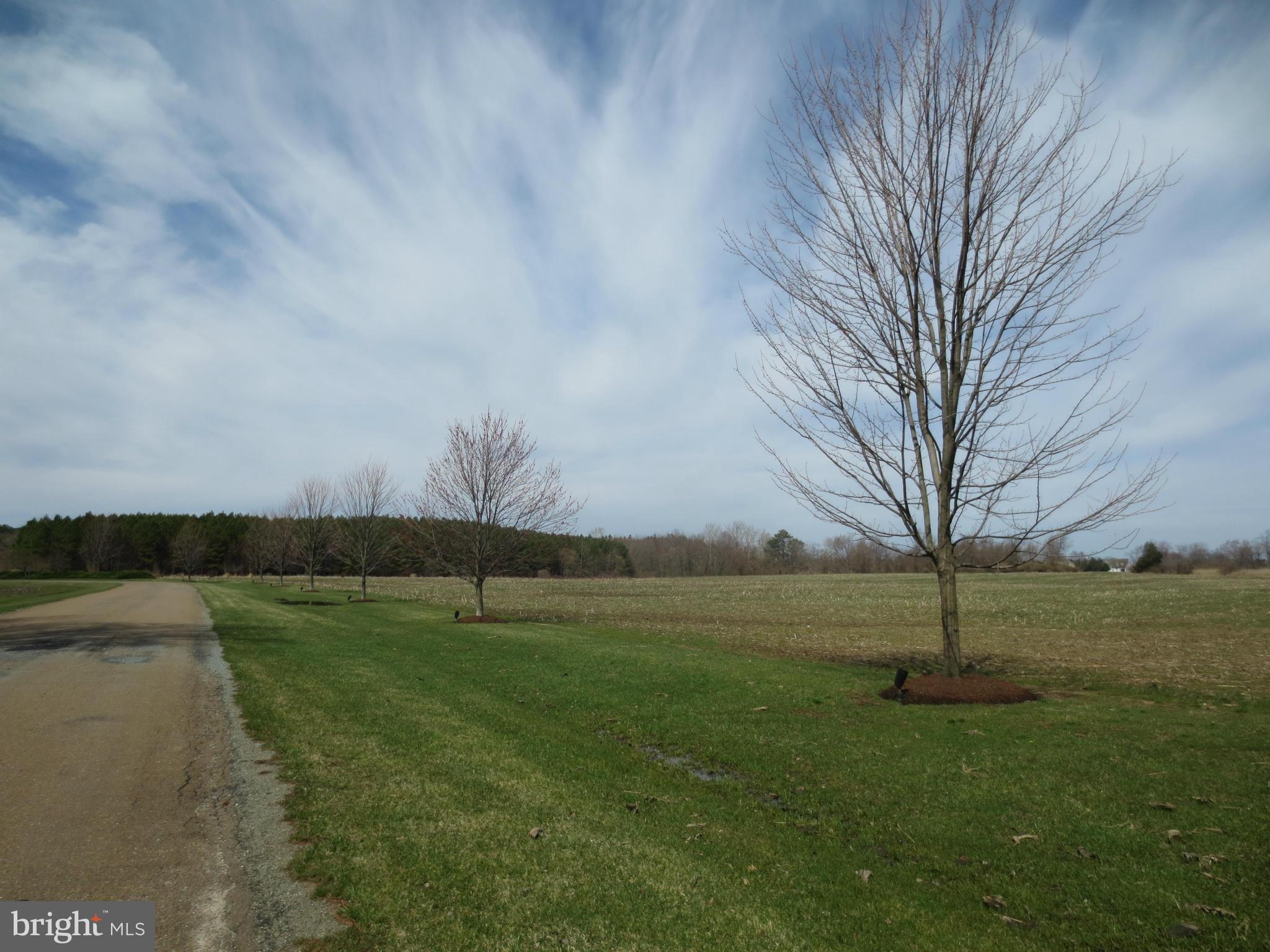 0 New Post Road St. Michaels, MD 21663 - Photo 25 of 30 Exterior (Front)