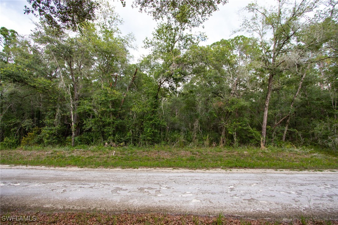 7406 Southeast Avenue Webster, FL 33597 - Photo 2 of 7 a view of a out door space