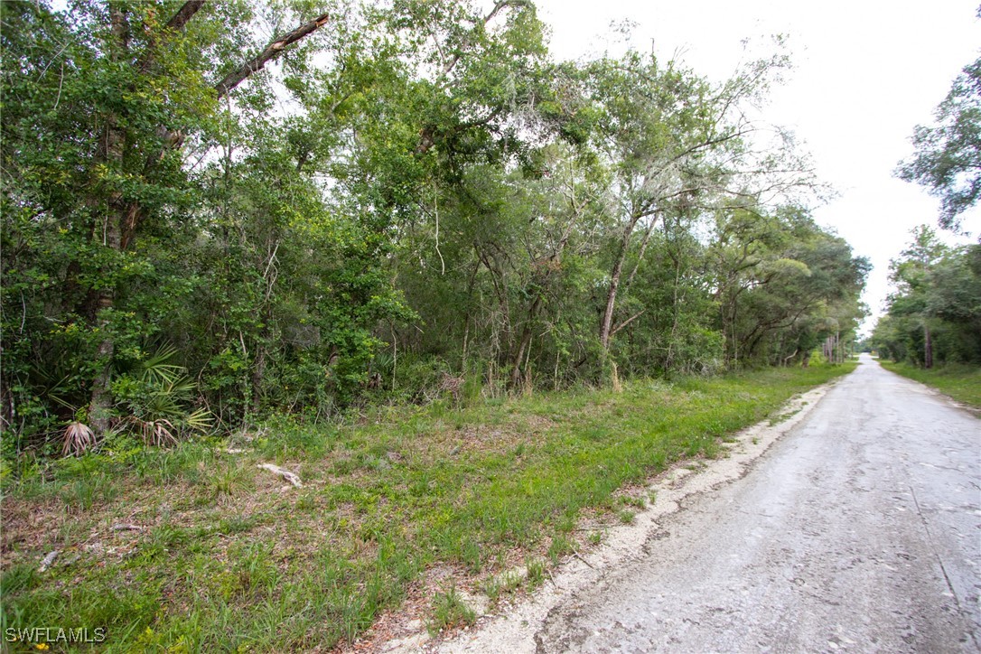 7406 Southeast Avenue Webster, FL 33597 - Photo 3 of 7 a view of outdoor space and yard
