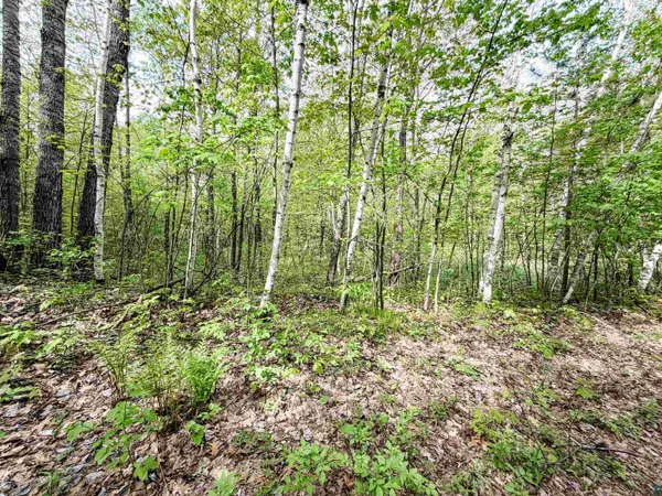 $23,900 | Lot 2 Peterson Road, Minong, WI 54859