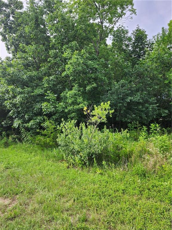 9 East Ridgewood Circle Linn Valley, KS 66040 - Photo 2 of 8