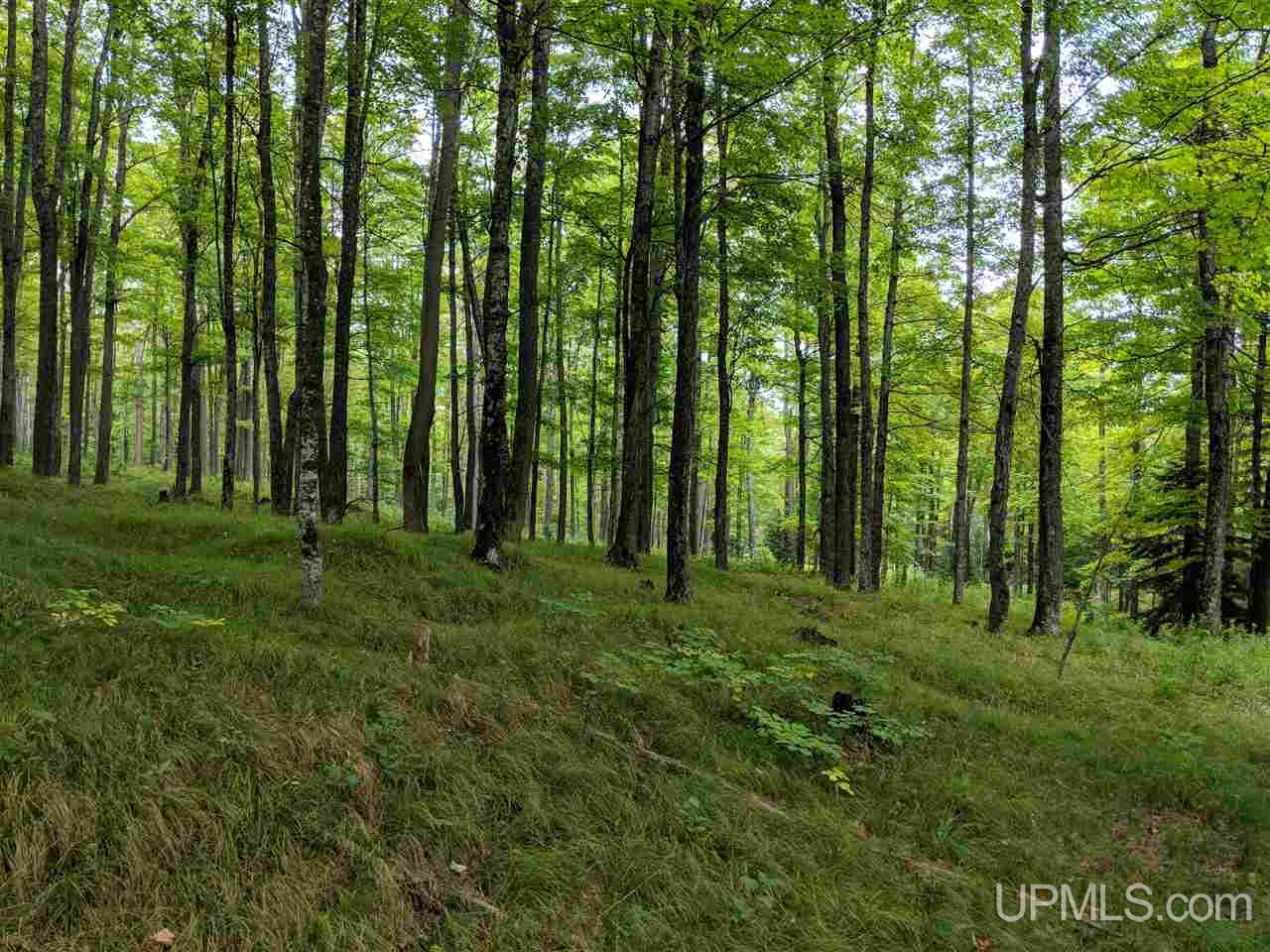 6.50-acres Fordville Road, Unit 27 STURGEON RIVER SI Foster City, MI 49807 - Photo 4 of 14