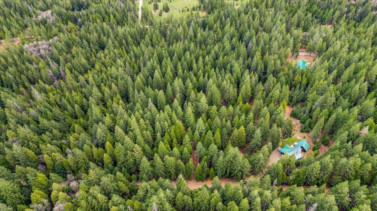 4110 Red Fir Loop Weed, CA 96094 - Photo 13 of 38 32-4110 Red Fir Loop 32