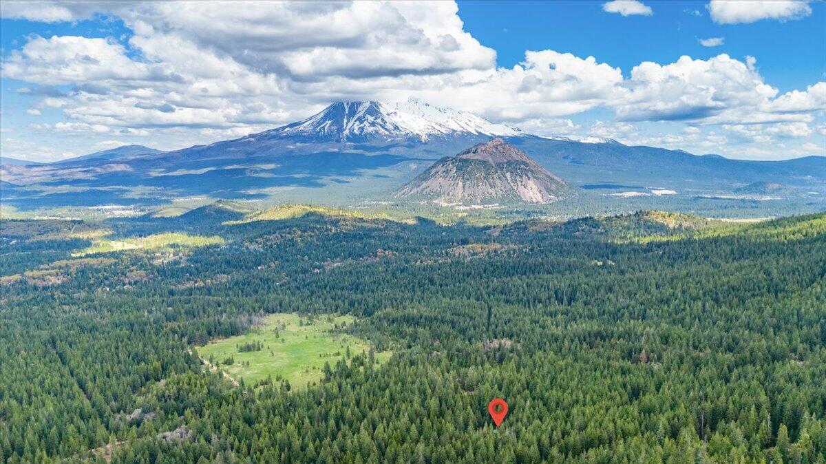 4110 Red Fir Loop Weed, CA 96094 - Photo 14 of 38 35-4110 Red Fir Loop 35