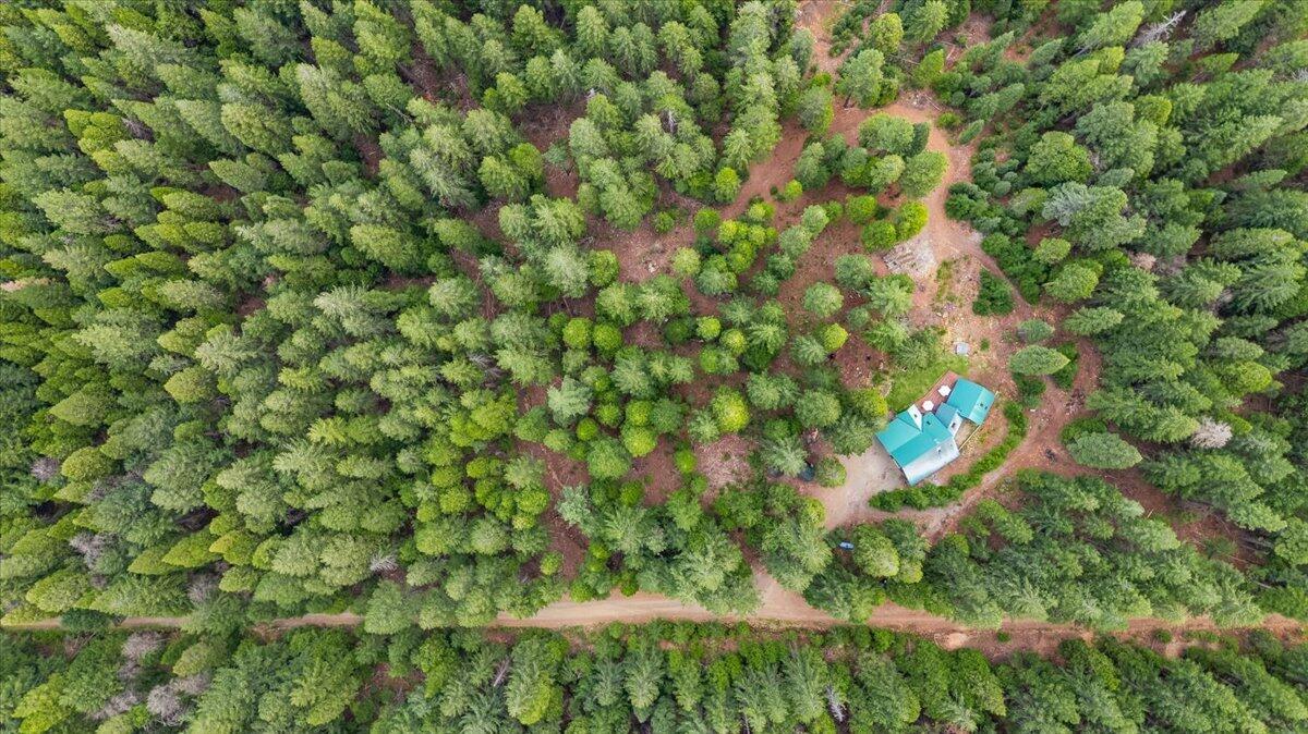 4110 Red Fir Loop Weed, CA 96094 - Photo 34 of 38 31-4110 Red Fir Loop 31