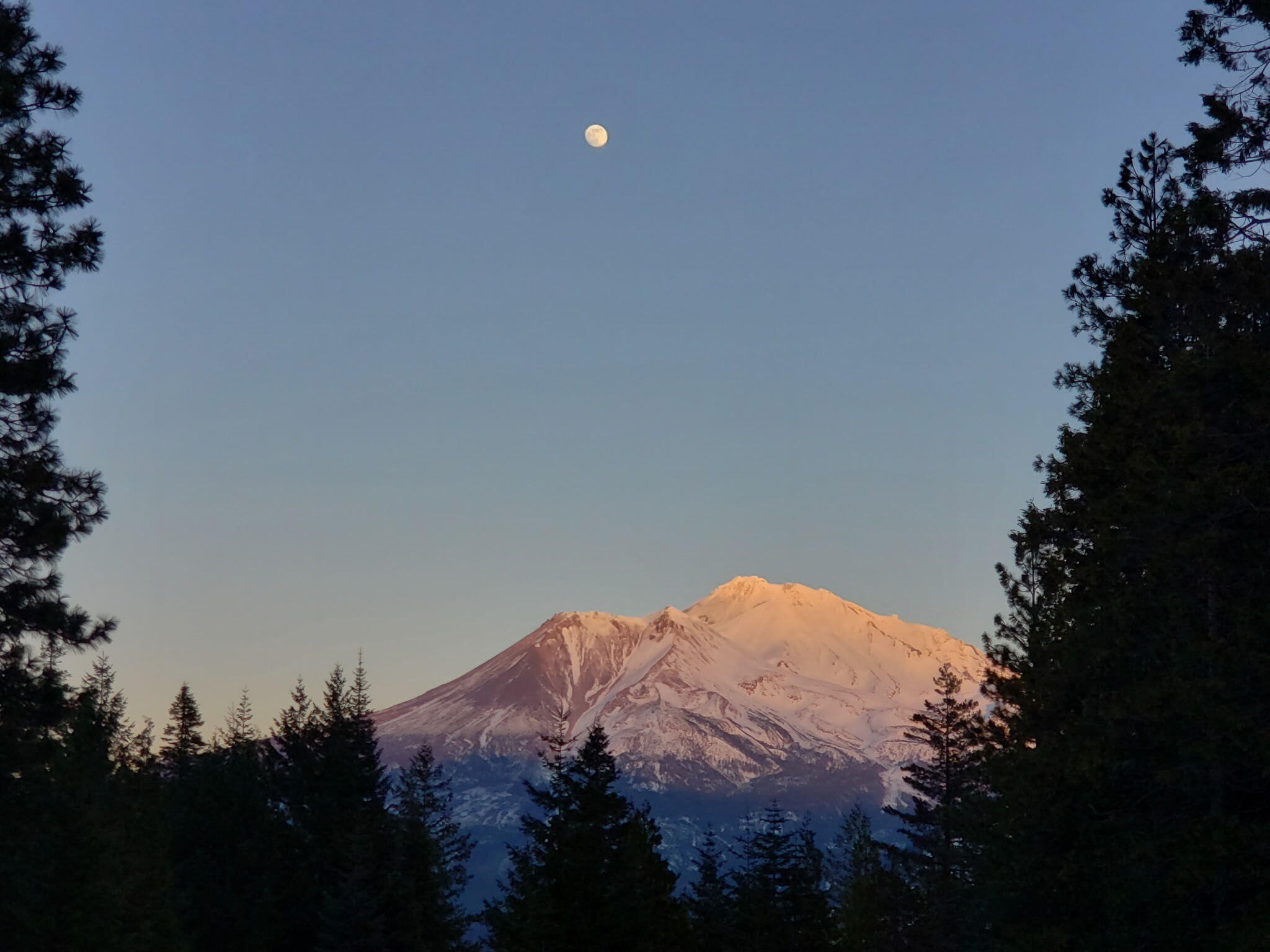 4110 Red Fir Loop Weed, CA 96094 - Photo 37 of 38 20220115_165804