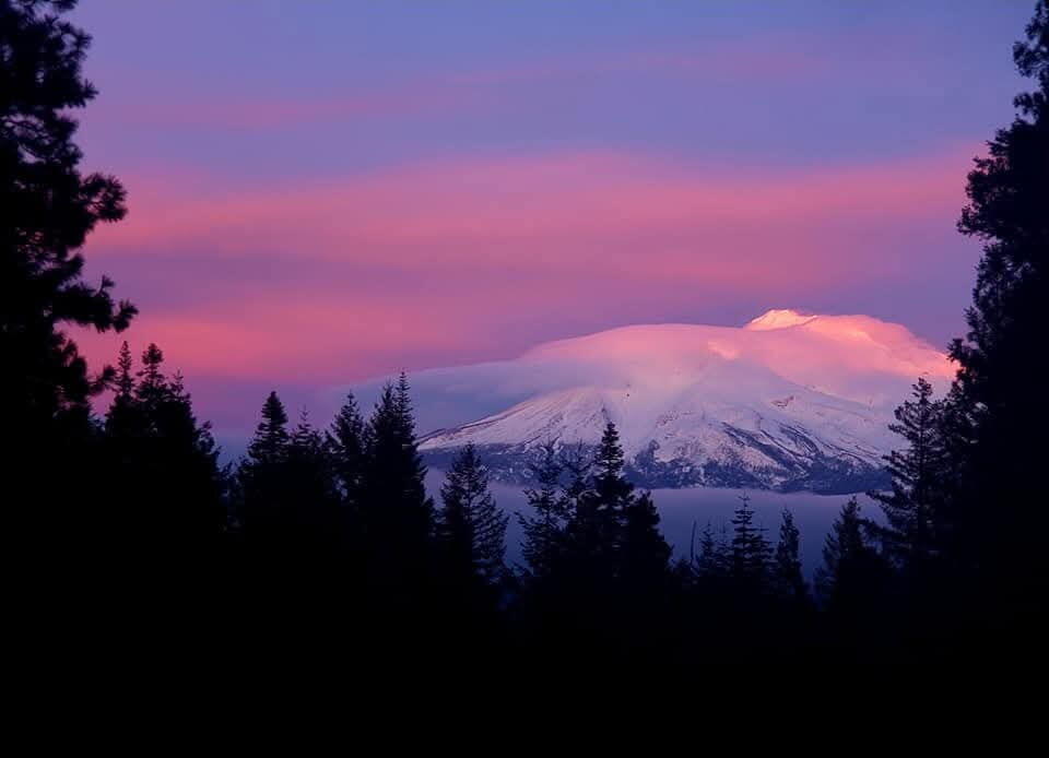 4110 Red Fir Loop Weed, CA 96094 - Photo 38 of 38 1000026352