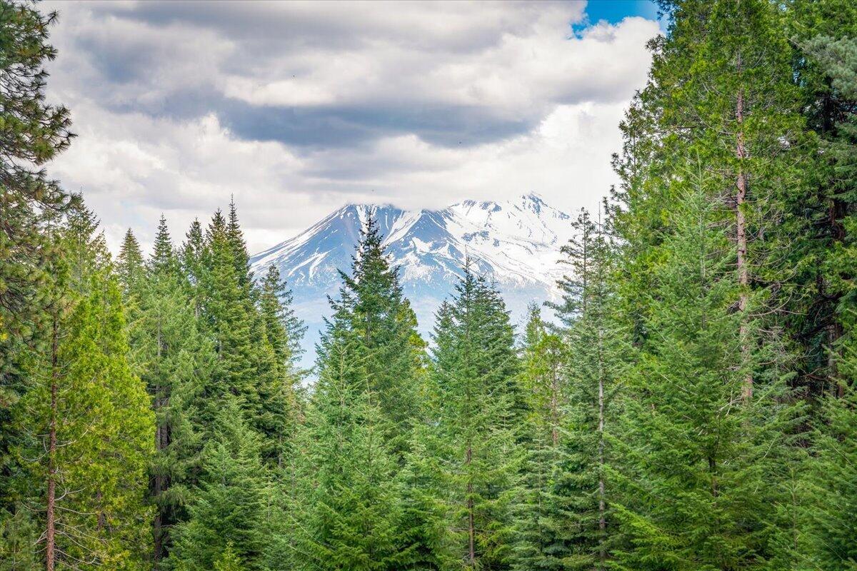 4110 Red Fir Loop Weed, CA 96094 - Photo 5 of 38 25-4110 Red Fir Loop 25