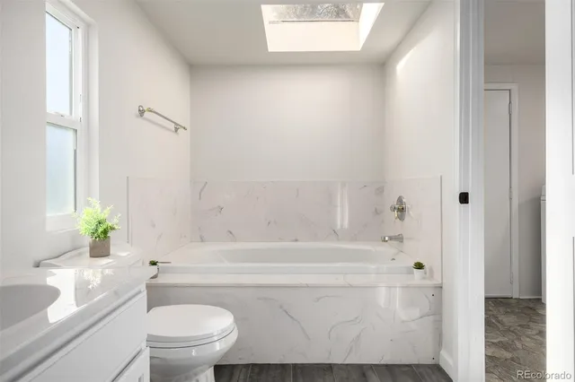 a bathroom with a toilet and a bathtub