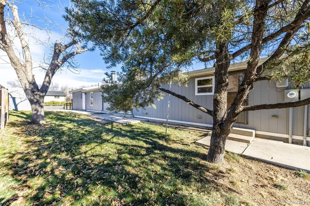 a house that has a tree in front of the house