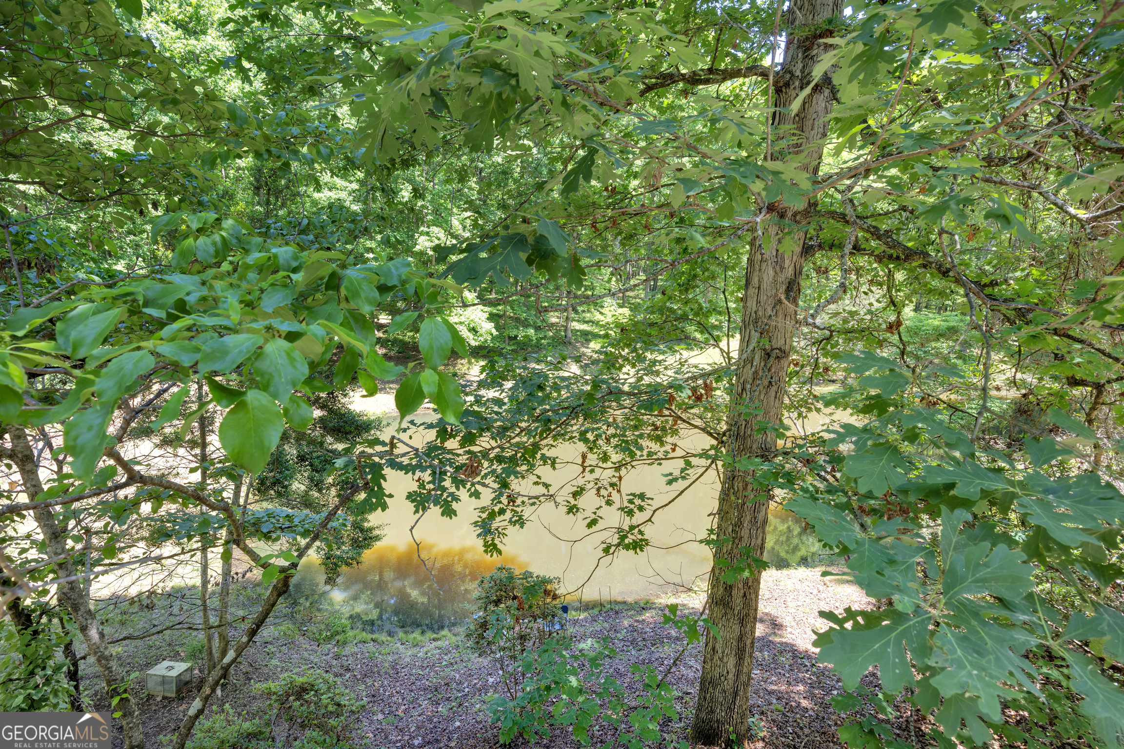 400 River Cove Road Social Circle, GA 30025 - Photo 65 of 83 a backyard of a house with lots of trees