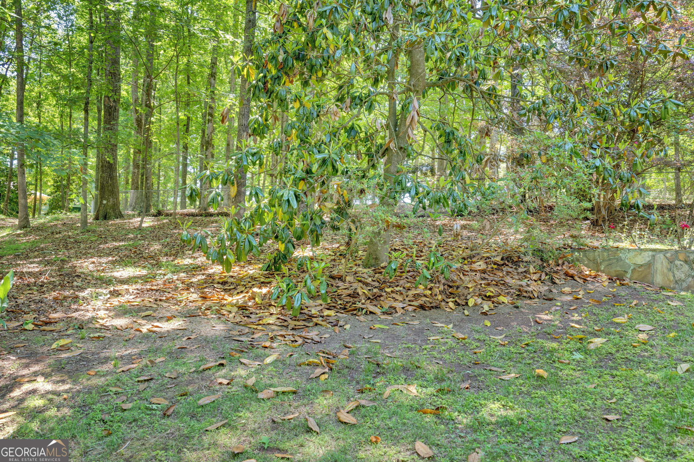 400 River Cove Road Social Circle, GA 30025 - Photo 68 of 83 a view of a yard with plants and large trees
