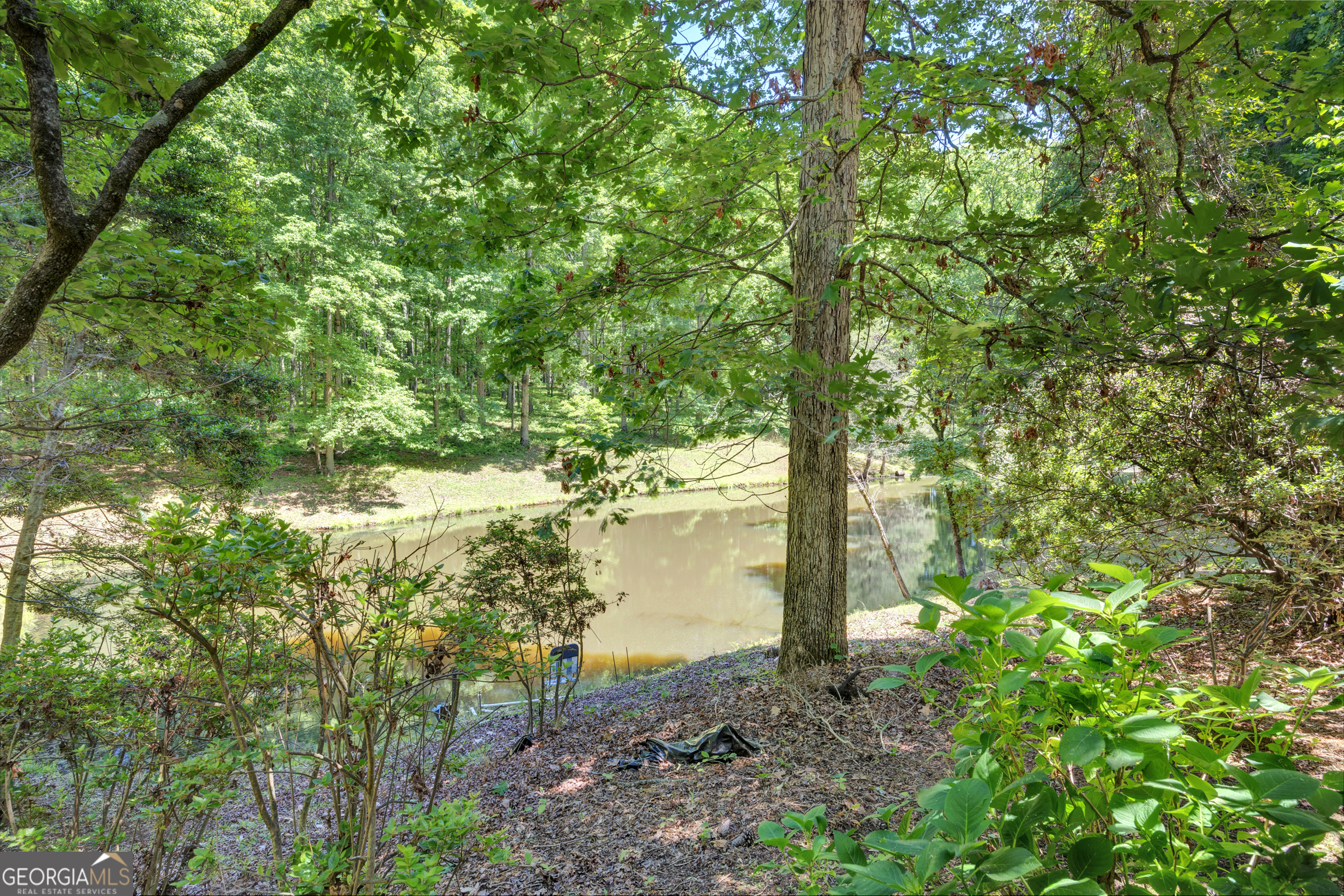 400 River Cove Road Social Circle, GA 30025 - Photo 71 of 83 a view of a lake with a tree