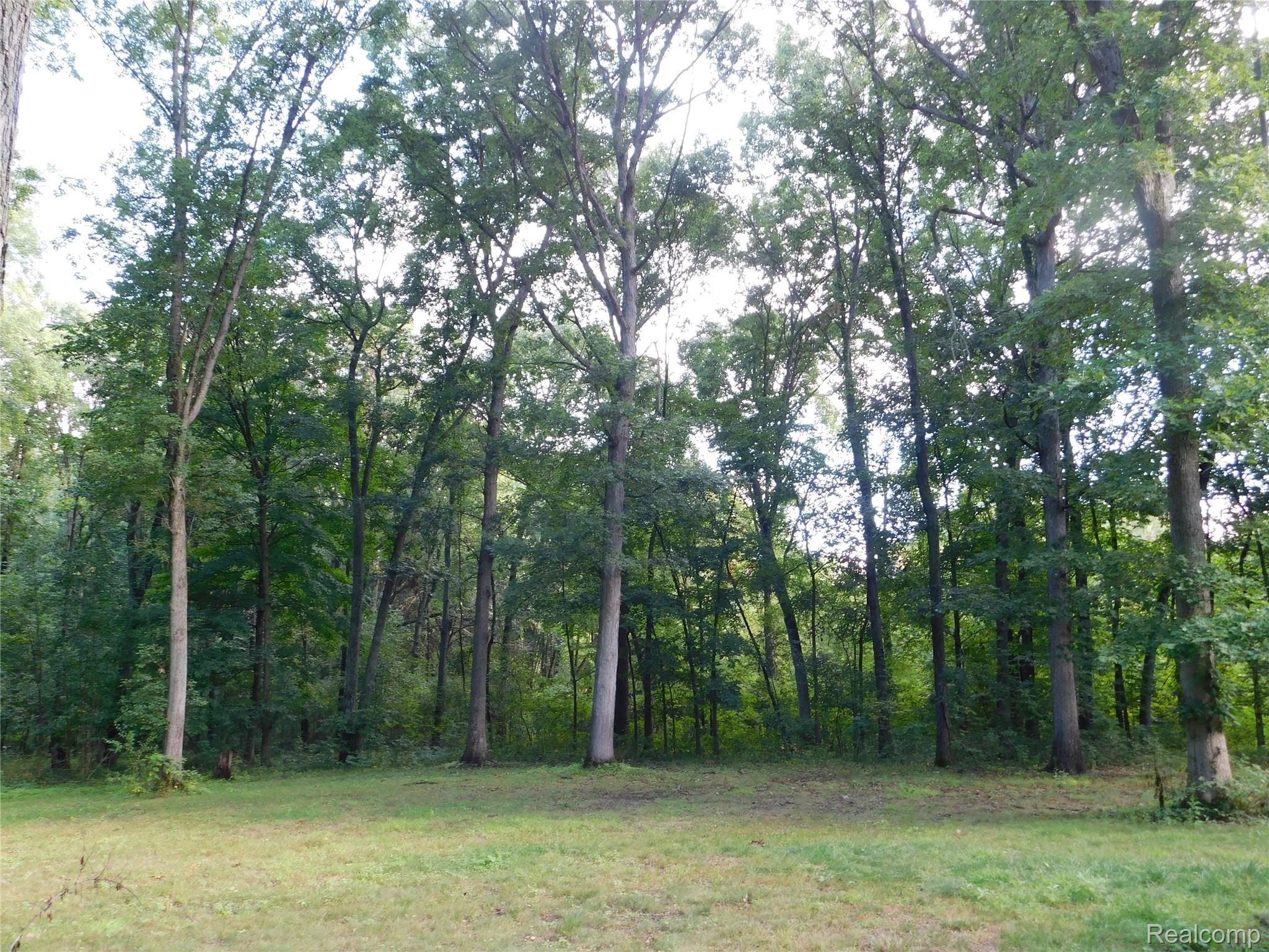 5733 Gregory Road Gregory, MI 48137 - Photo 7 of 11 DSCN0398.JPG