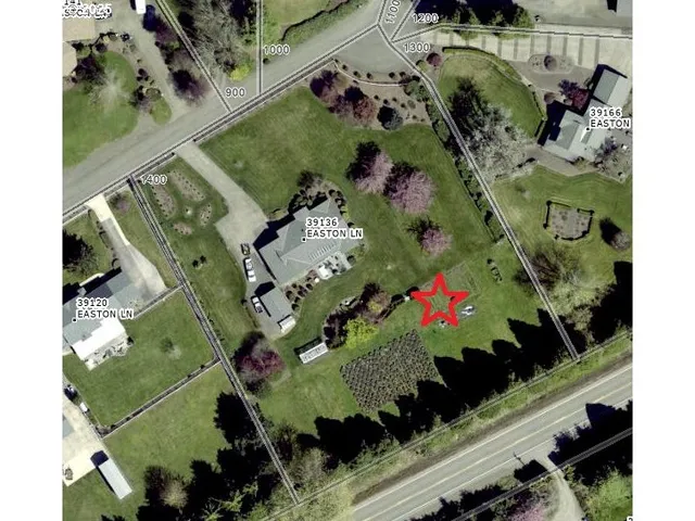 an aerial view of a flower