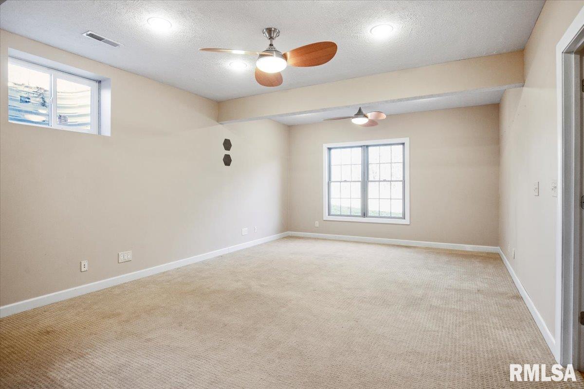 4855 County Road 6 1/4 South Rochester, IL 62563 - Photo 11 of 40