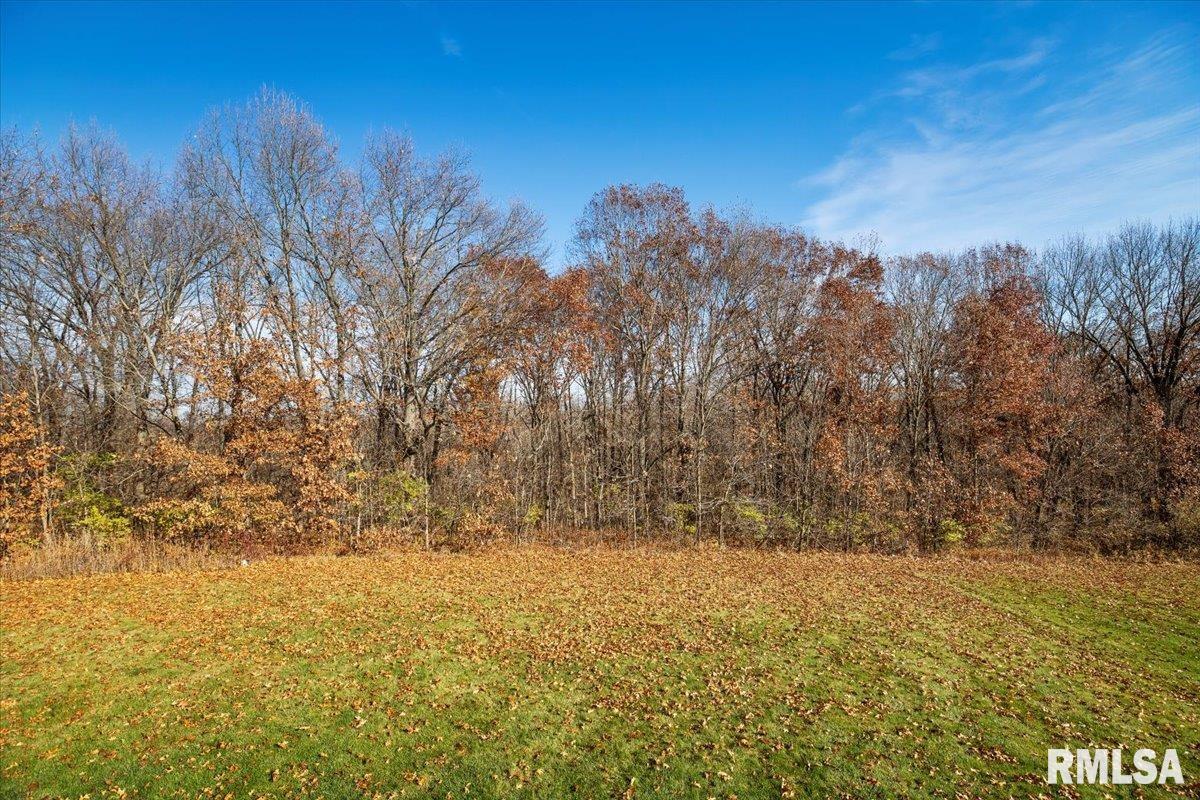 4855 County Road 6 1/4 South Rochester, IL 62563 - Photo 40 of 40