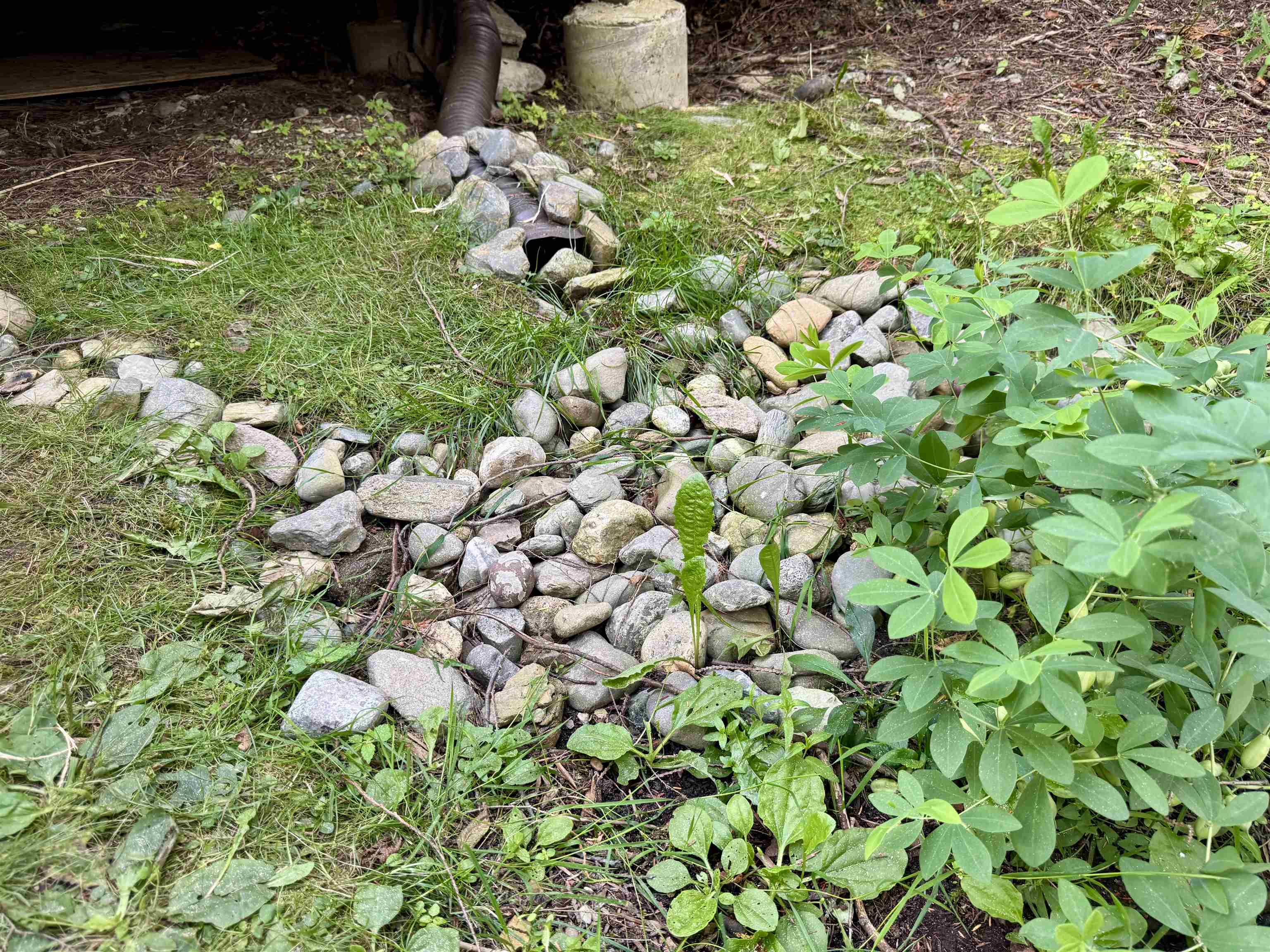 145 Shore Road Franklin, VT 05457 - Photo 22 of 48 Gallery Image 22