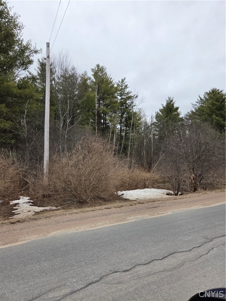 Calaboga Road Redwood, NY 13679 - Photo 10 of 11 View from Calaboga Rd