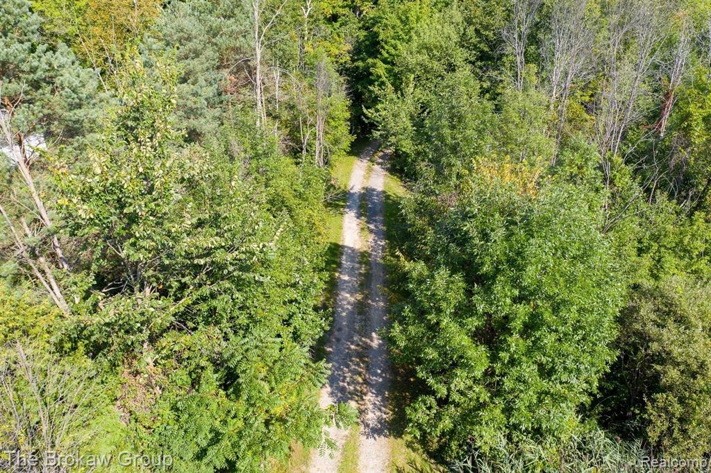 -vl Davis Lake Road Lapeer, MI 48446 - Photo 4 of 19 Gallery Image 4