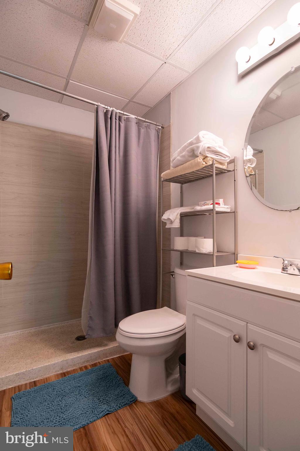 272 Fritzel Way Mount Jackson, VA 22842 - Photo 31 of 60 a bathroom with a sink a toilet a mirror and shower